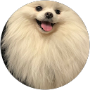 Albert rodriguez profile picture